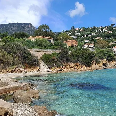 Apartment Chez Fredo Et Mag Le Lavandou