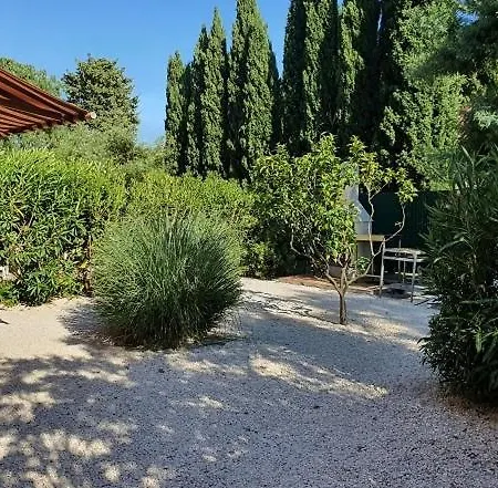 Chez Fredo Et Mag